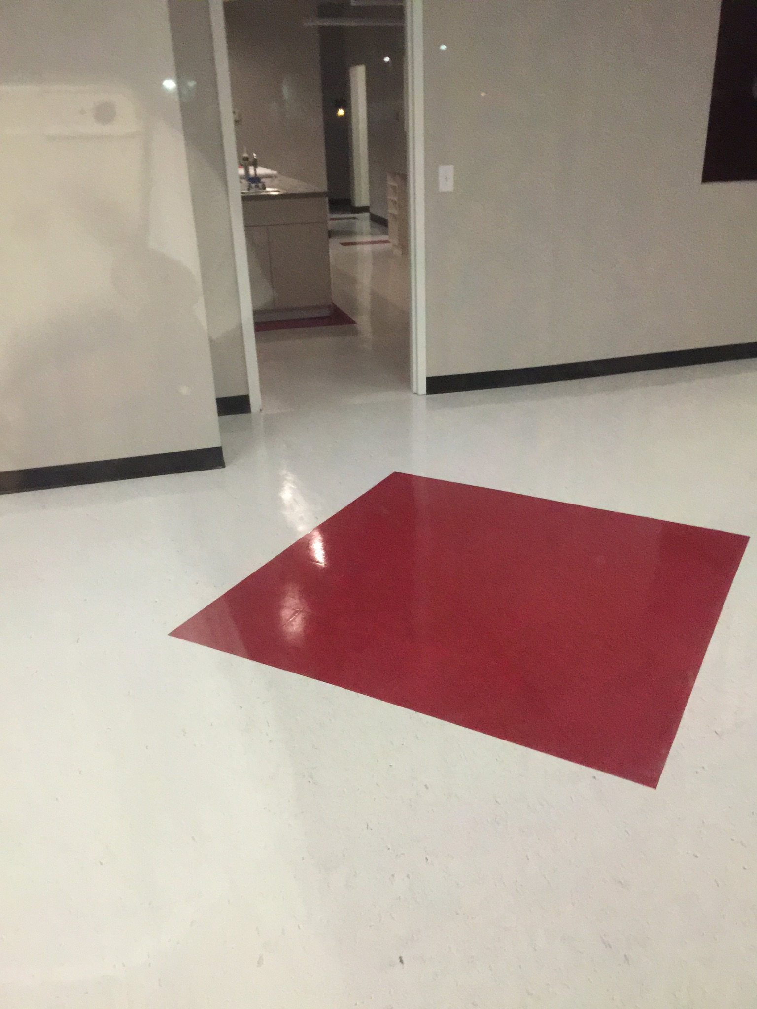 D M Carpet Cleaning - Mansfield, GA