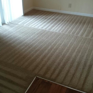 D M Carpet Cleaning - North Decatur, GA