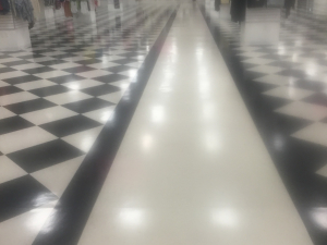 D M Carpet Cleaning - Grayson, GA