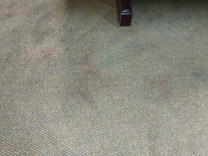 D M Carpet Cleaning - Avondale Estates, GA
