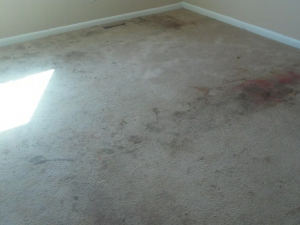 D M Carpet Cleaning - Stonecrest, GA