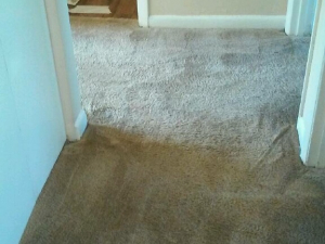 D M Carpet Cleaning - Norcross, GA