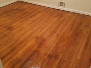 D M Carpet Cleaning - Lithonia, GA