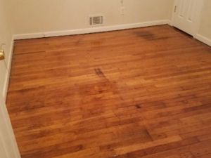 D M Carpet Cleaning - Tucker, GA