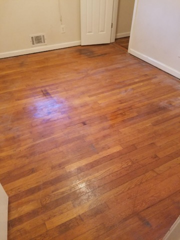 D M Carpet Cleaning – Decatur, GA