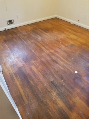 D M Carpet Cleaning – Lakeview Estates, GA