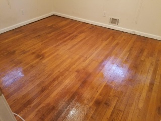 D M Carpet Cleaning – Oxford, GA