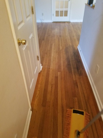 D M Carpet Cleaning – Lithonia, GA