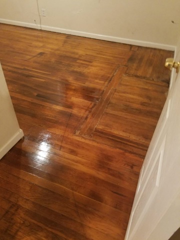 D M Carpet Cleaning – Pine Lake, GA