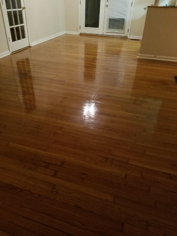 D M Carpet Cleaning – Milton, GA