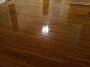 D M Carpet Cleaning – Milton, GA