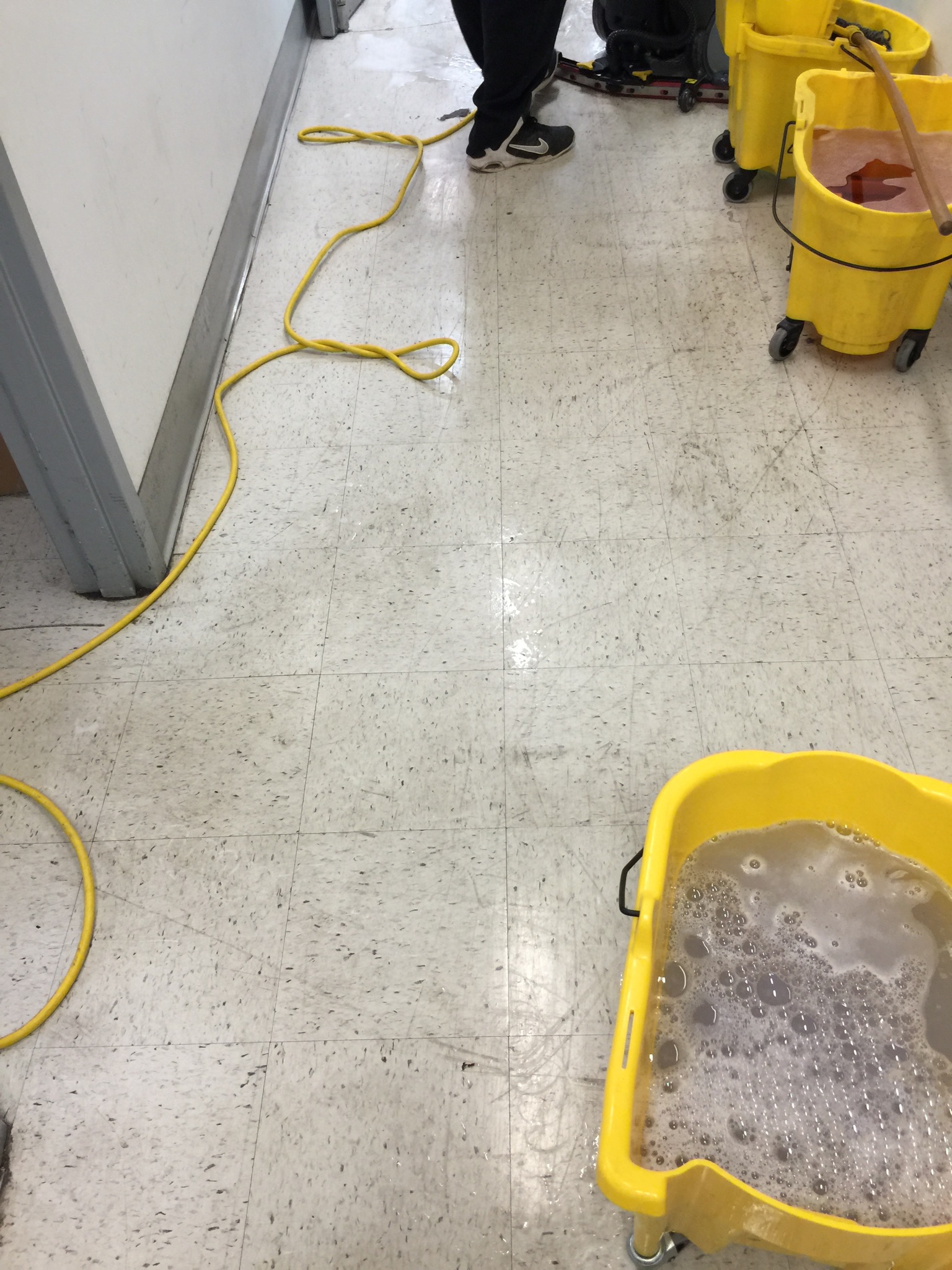 D M Carpet Cleaning - Centerville, GA