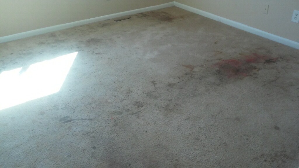 D M Carpet Cleaning - Stonecrest, GA