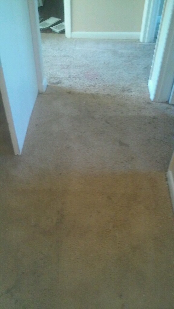 D M Carpet Cleaning - Duluth, GA