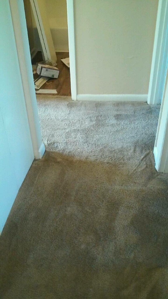 D M Carpet Cleaning - Norcross, GA