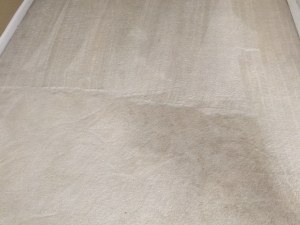 D M Carpet Cleaning - Avondale Estates, GA