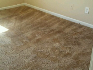 D M Carpet Cleaning - Lawrenceville, GA